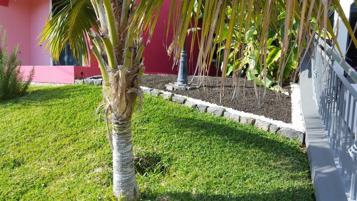 Apartamento Pink House Ponta do Sol  Exterior foto